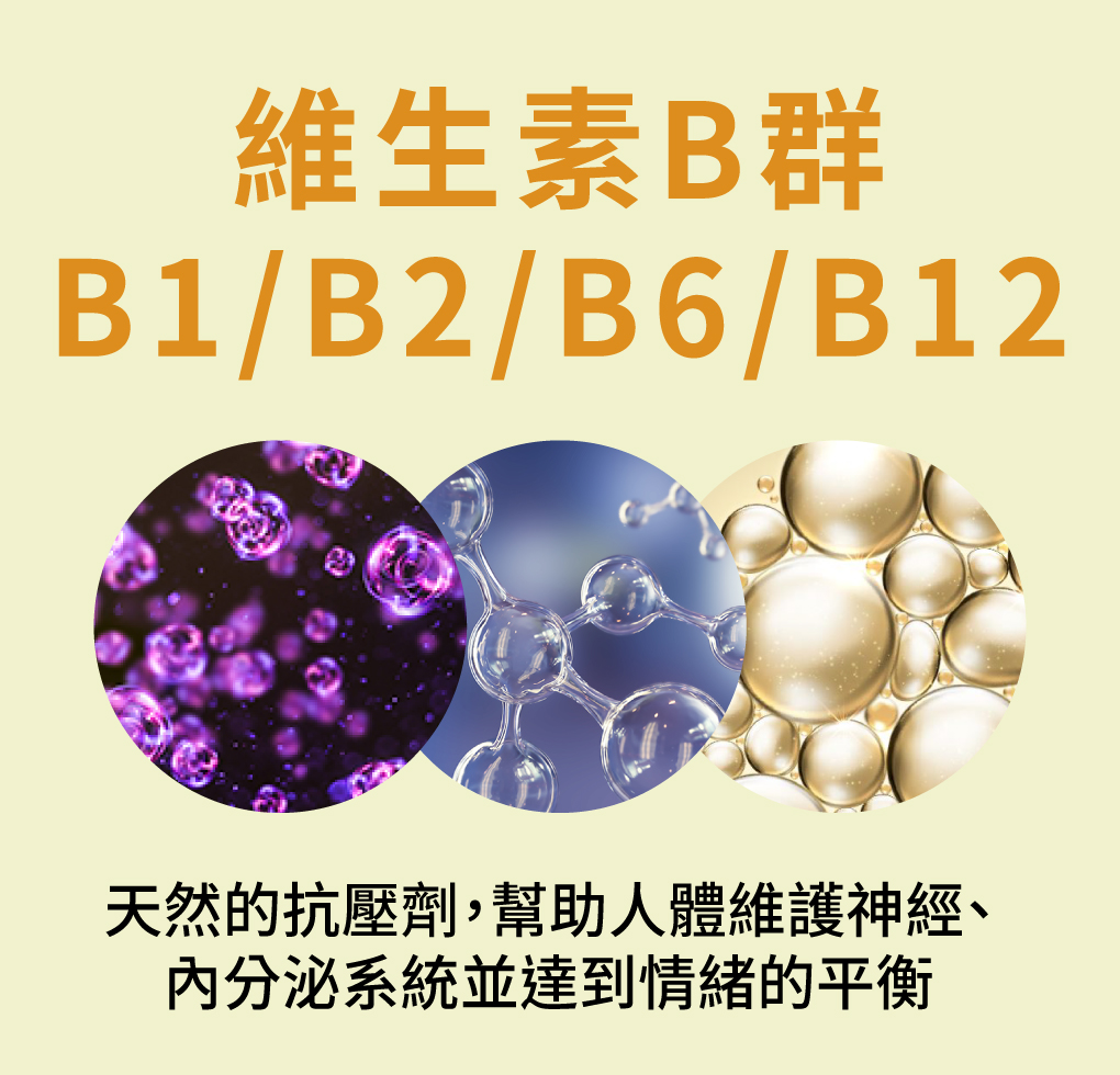 我愛簡單購 IEasyShopping 【達特漢司】疼愛家人綜合維他命補養液(5送1)