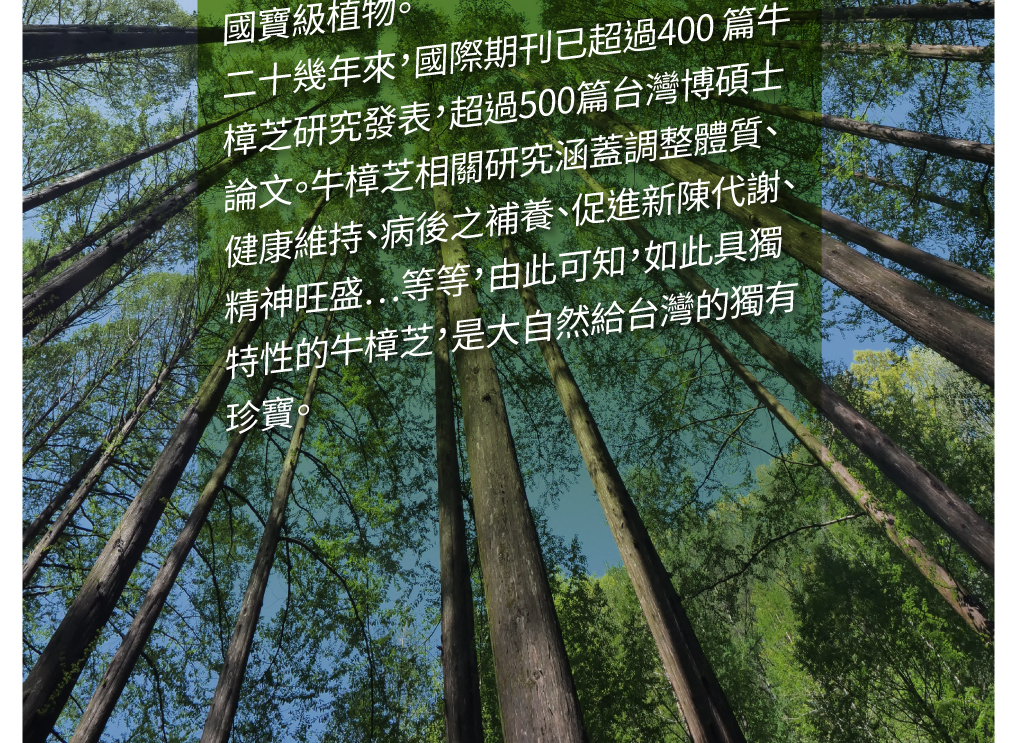 我愛簡單購 IEasyShopping 【歐萃OTREE】增益康牛樟芝菌絲體膠囊